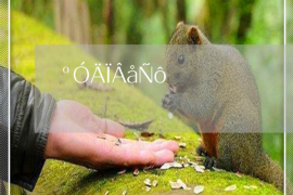 荷塘融资清欠服务